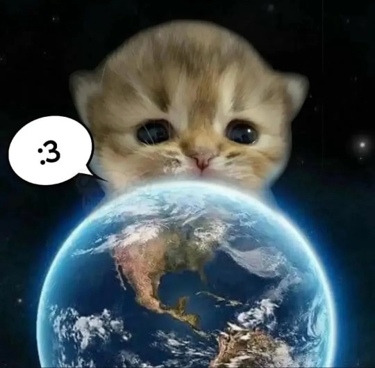 tumblr_cdd3b8672f0dbec0d0966023850e0e1b_3c214435_540.jpg